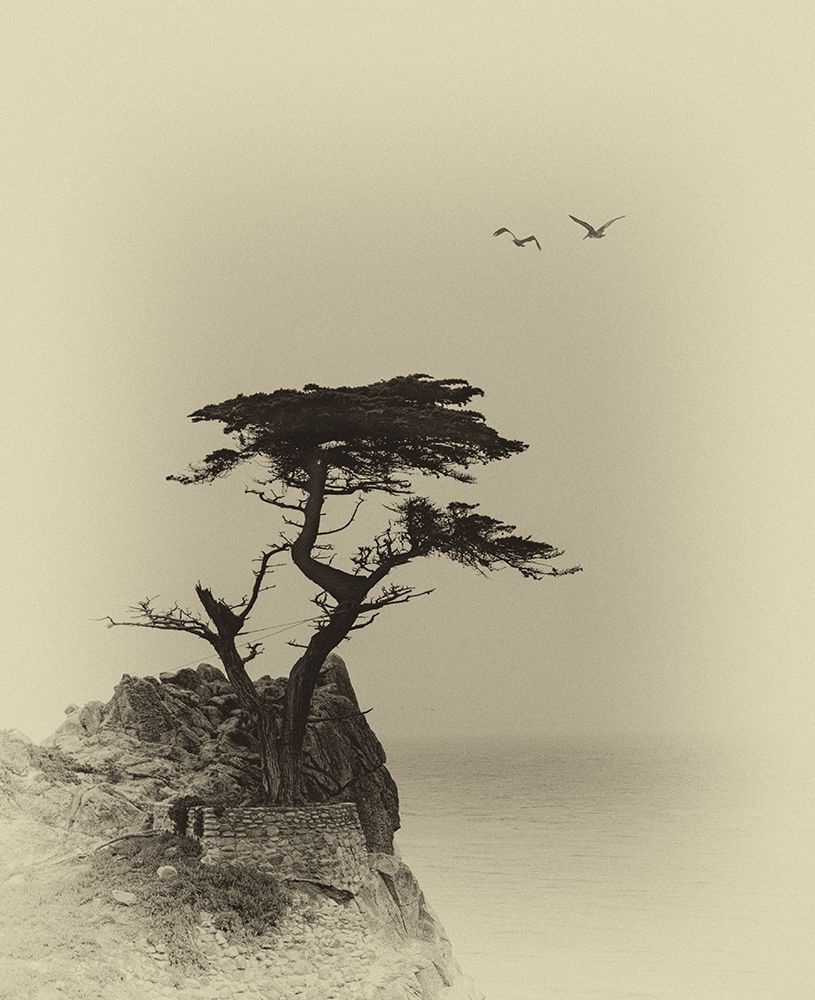 Lonely Tree art print by NanZ for $57.95 CAD