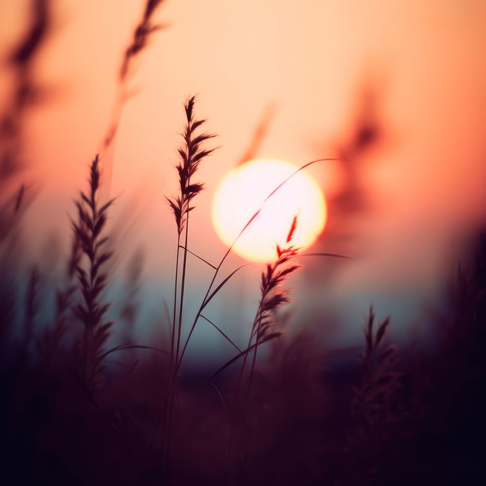 Glowing Sun No 1 art print by Treechild for $57.95 CAD