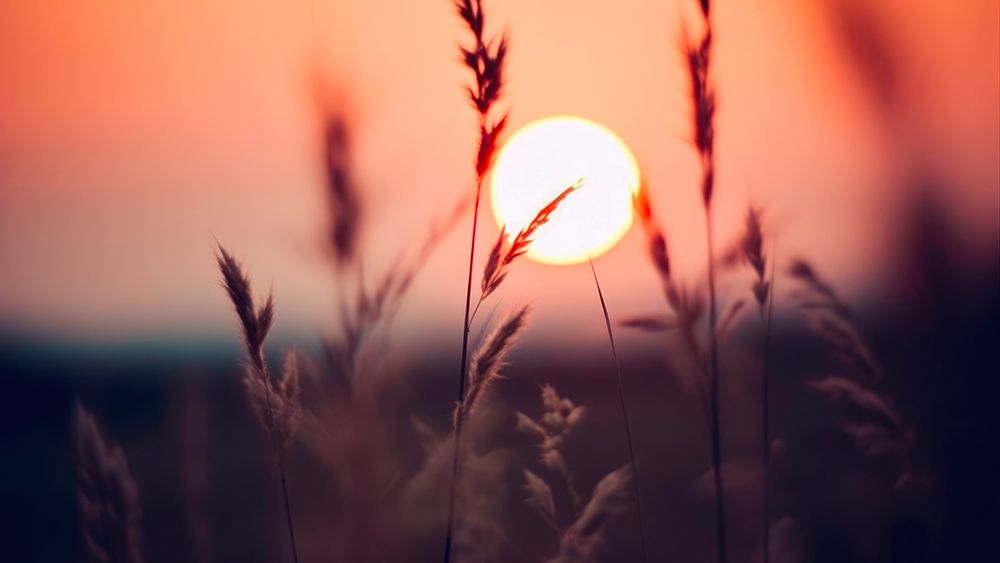 Glowing Sun No 2 art print by Treechild for $57.95 CAD