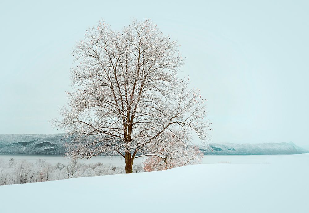 Winters Solitude art print by Wei Dai for $57.95 CAD
