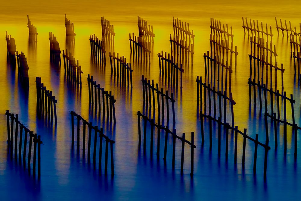 Oyster Sheds Light And Shadow Water Flow art print by MingLun Tsai for $57.95 CAD