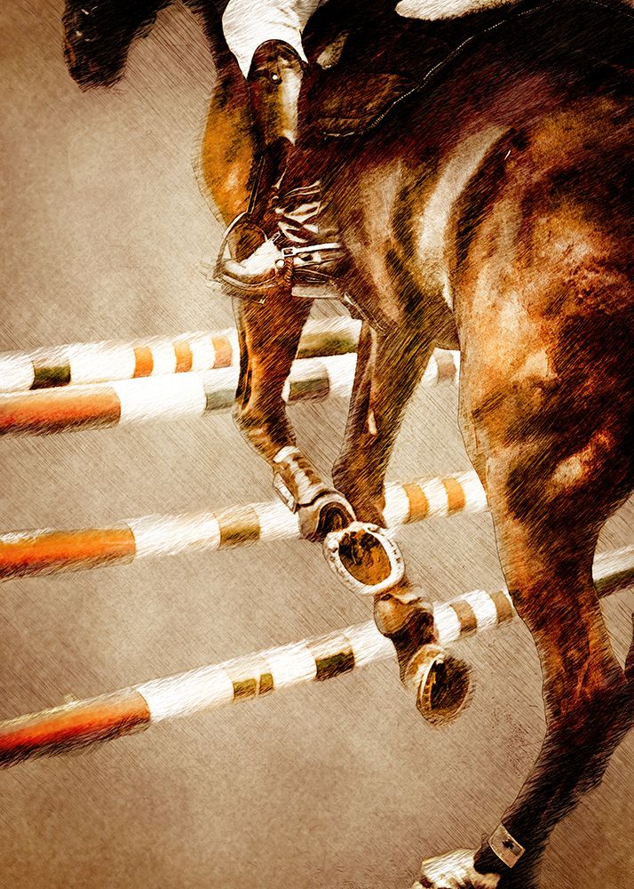 Horse Riding Sport Art (5) art print by Justyna Jaszke for $57.95 CAD