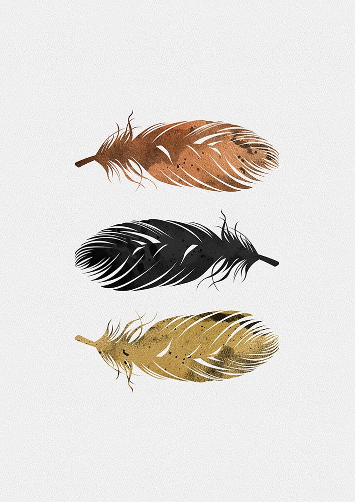 Feathers art print by Orara Studio for $57.95 CAD