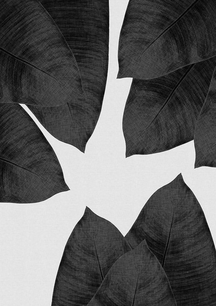 Banana Leaf Black A White I art print by Orara Studio for $57.95 CAD