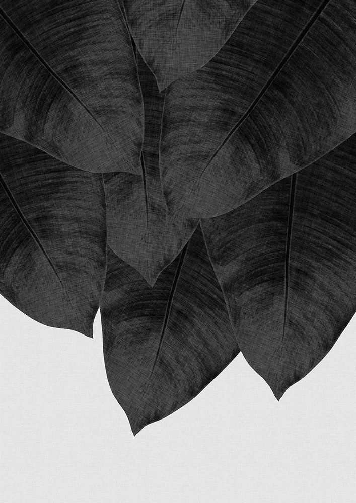 Banana Leaf Black A White Iii art print by Orara Studio for $57.95 CAD