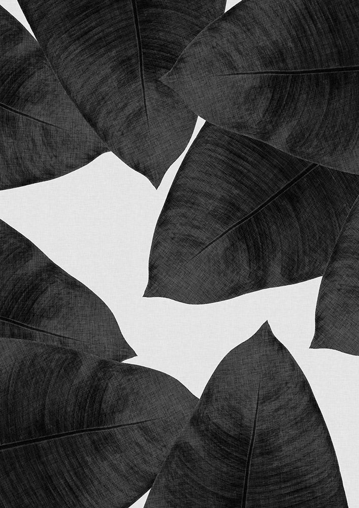Banana Leaf Black A White Ii art print by Orara Studio for $57.95 CAD