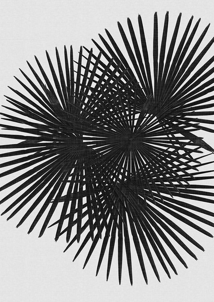 Fan Palm Black A White art print by Orara Studio for $57.95 CAD
