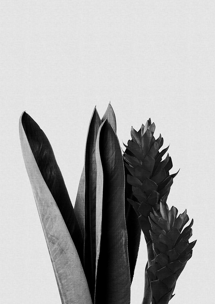 Flower Black A White art print by Orara Studio for $57.95 CAD