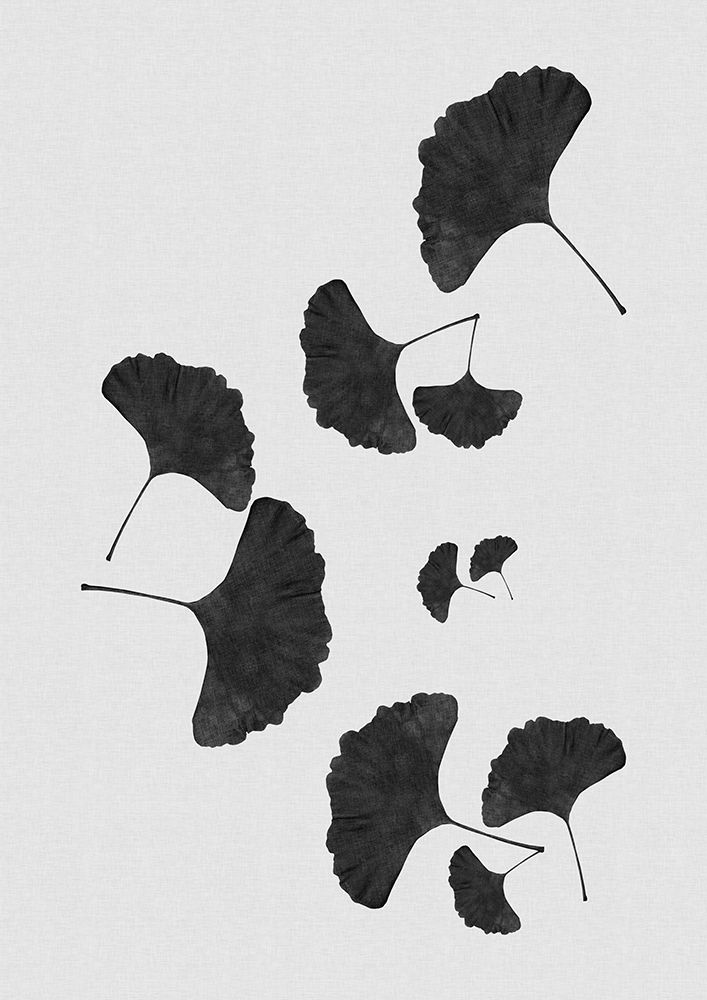 Ginkgo Leaf Black A White I art print by Orara Studio for $57.95 CAD