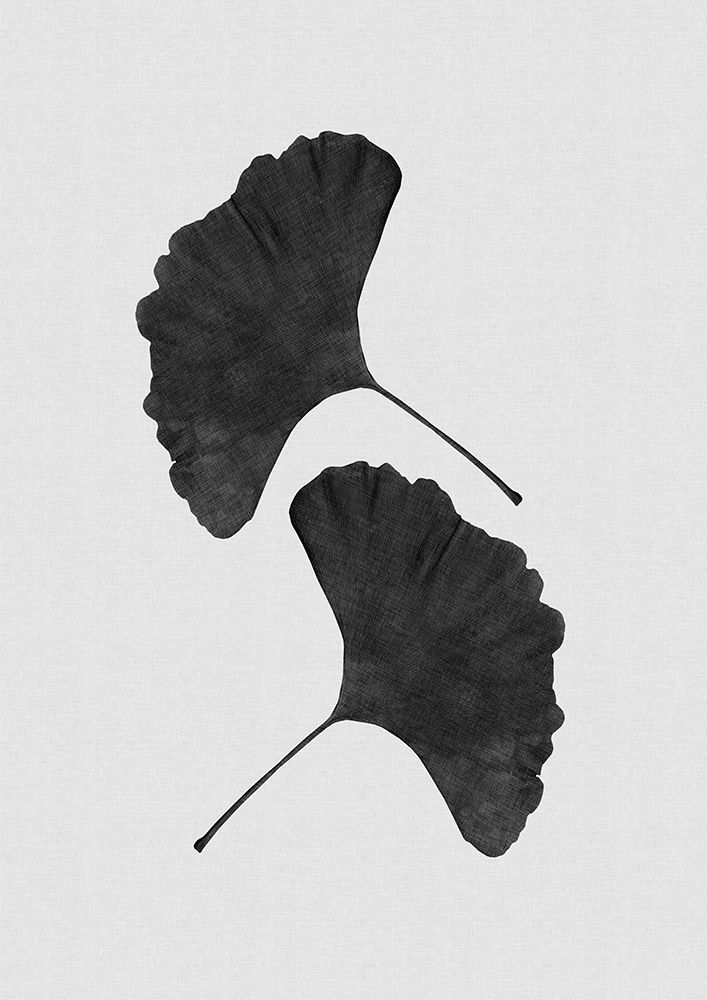 Ginkgo Leaf Black A White Ii art print by Orara Studio for $57.95 CAD