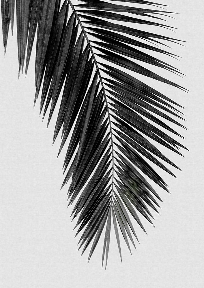 Palm Leaf Black A White I art print by Orara Studio for $57.95 CAD