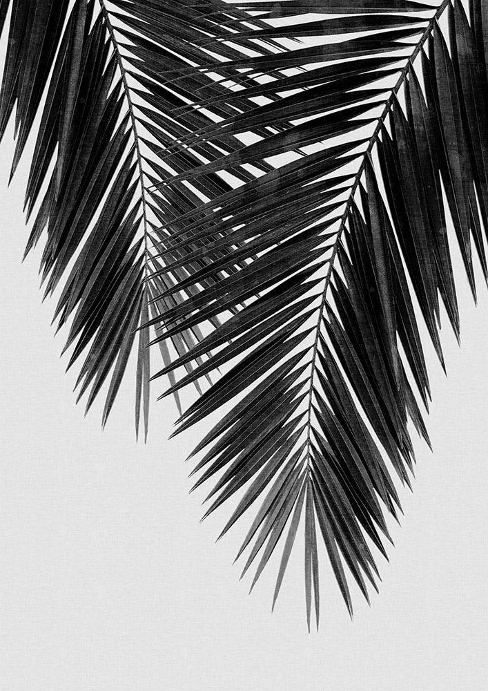 Palm Leaf Black A White Ii art print by Orara Studio for $57.95 CAD