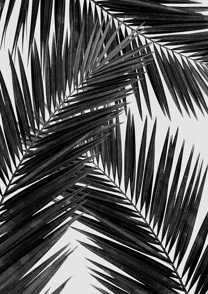 Palm Leaf Black A White Iii art print by Orara Studio for $57.95 CAD