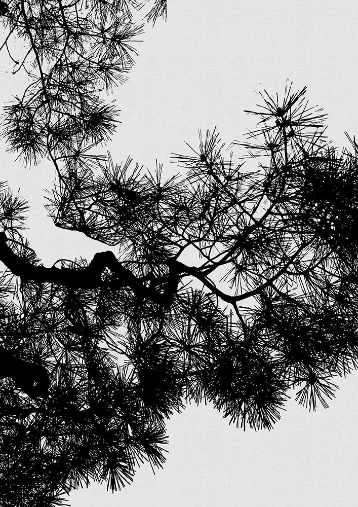 Pine Tree Black A White art print by Orara Studio for $57.95 CAD