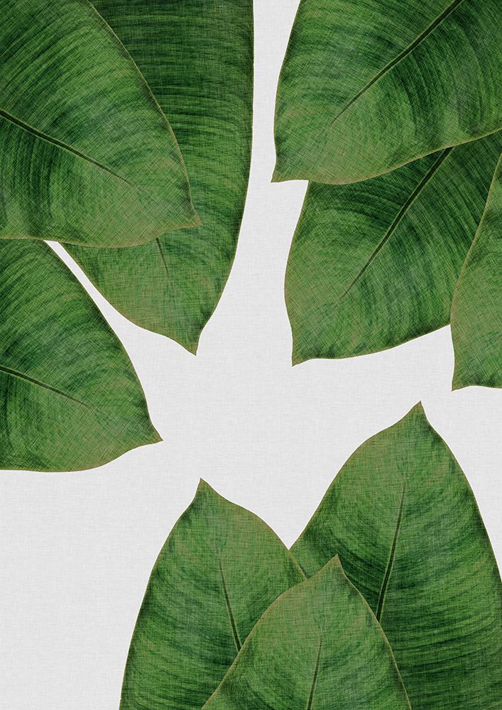 Banana Leaf I art print by Orara Studio for $57.95 CAD