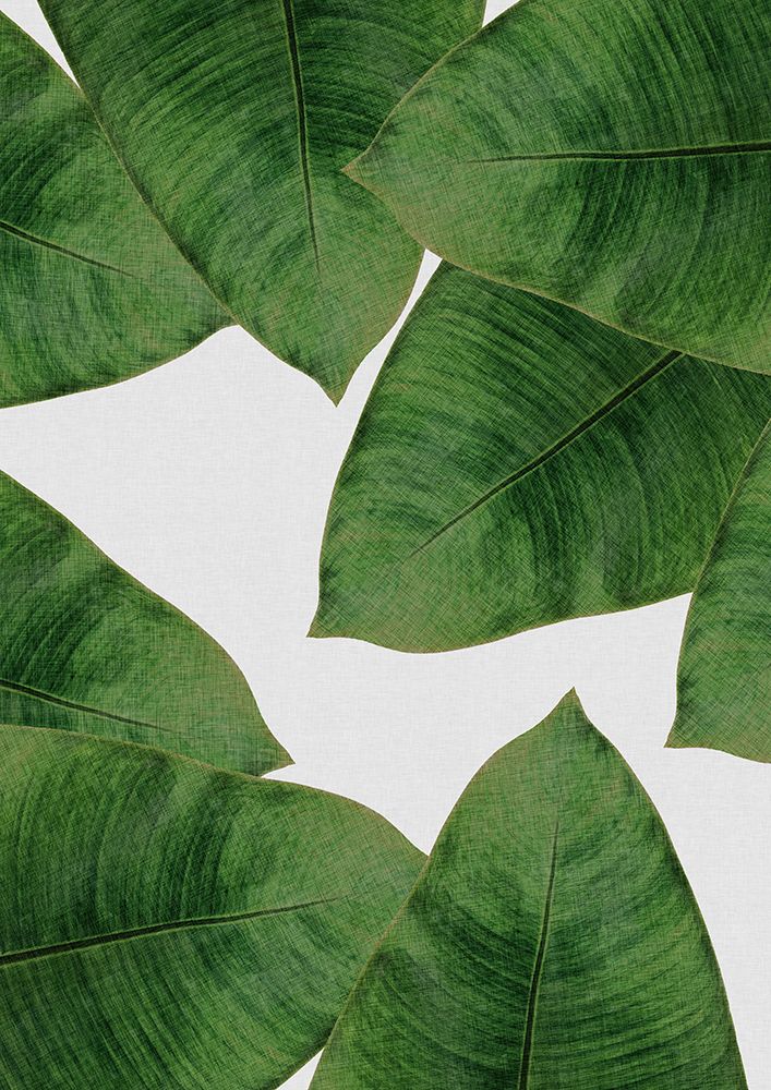 Banana Leaf Ii art print by Orara Studio for $57.95 CAD