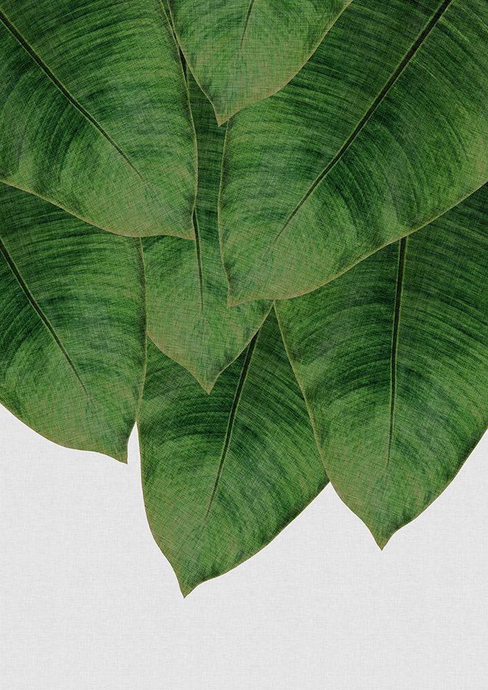 Banana Leaf Iii art print by Orara Studio for $57.95 CAD