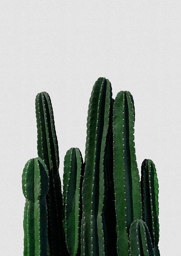 Cactus I art print by Orara Studio for $57.95 CAD