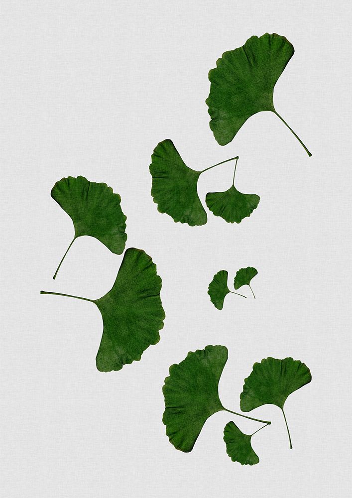 Ginkgo Leaf I art print by Orara Studio for $57.95 CAD