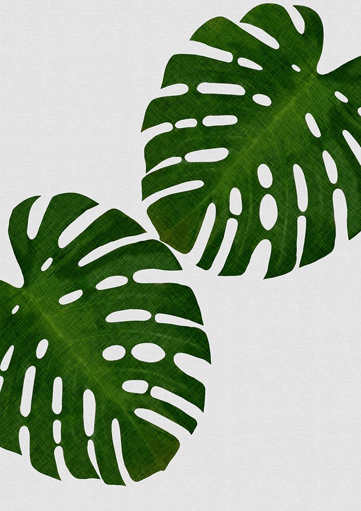 Monstera Leaf Ii art print by Orara Studio for $57.95 CAD