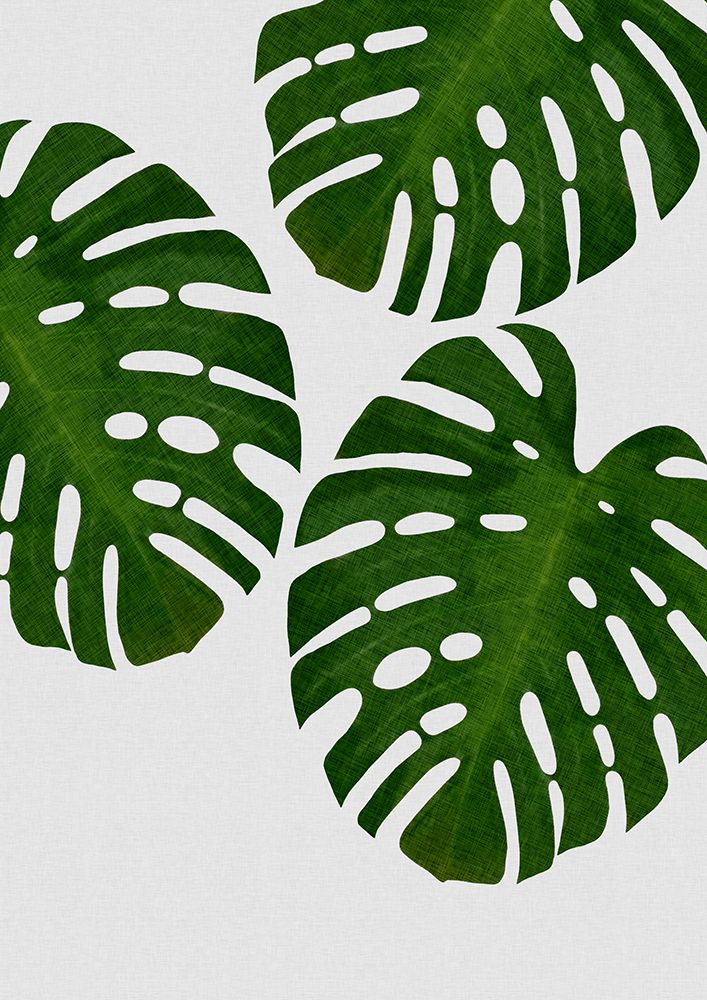 Monstera Leaf Iii art print by Orara Studio for $57.95 CAD