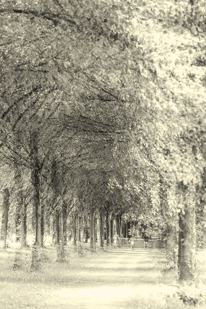 One Of These Summerdays art print by Heike Wolters-Wrase for $57.95 CAD