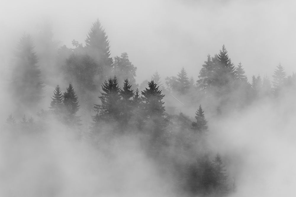 Autumn art print by Andy Dauer for $57.95 CAD