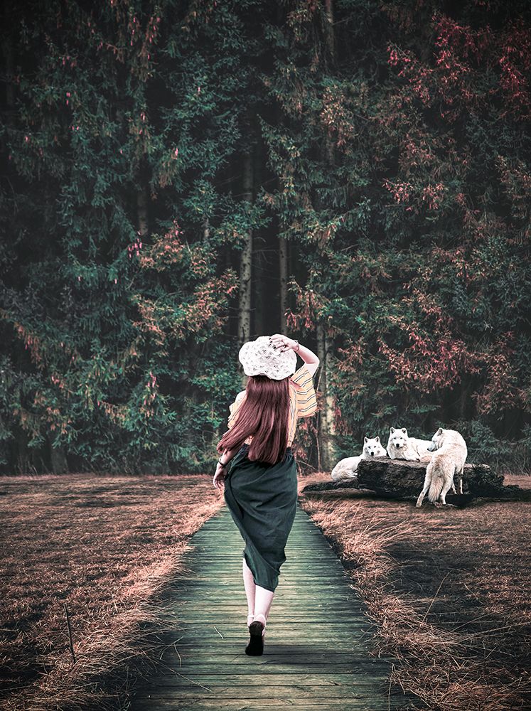 The Little Red And The White Wolfs art print by Komra Gallery for $57.95 CAD