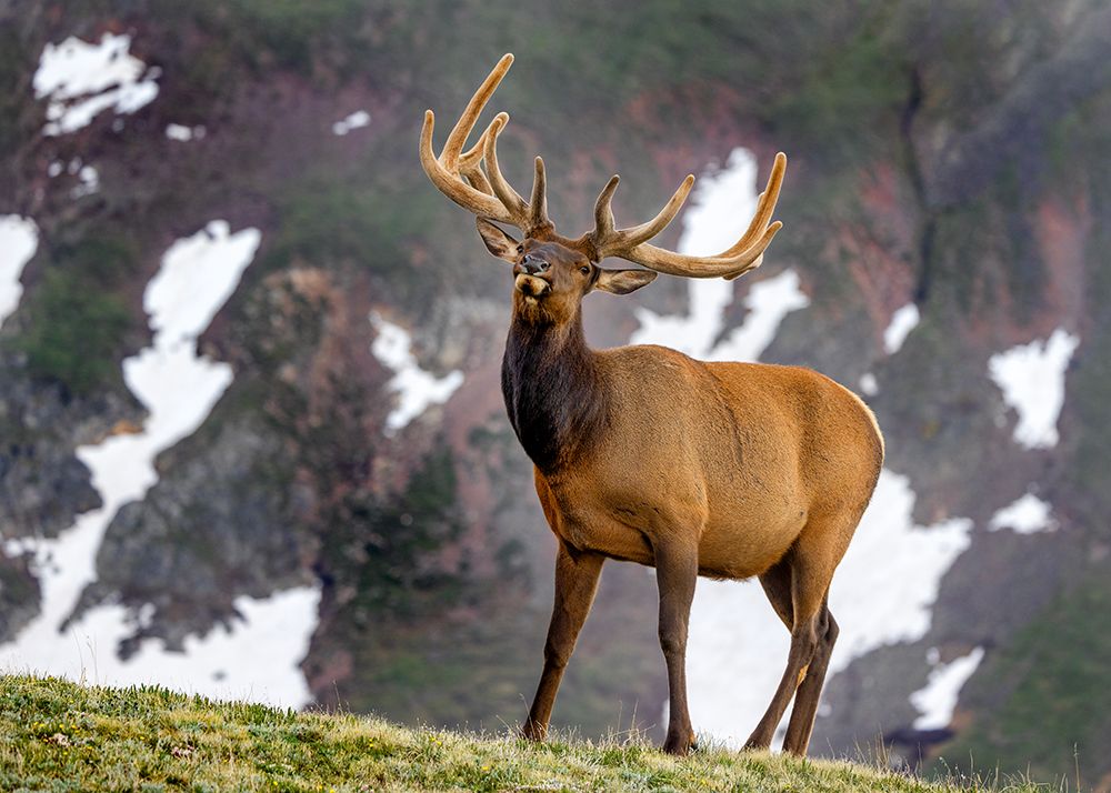 Am I Handsome Or What....?!? art print by Verdon for $57.95 CAD