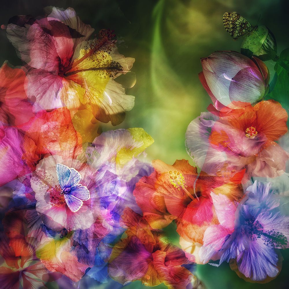 Moving Light art print by Ludmila Shumilova for $57.95 CAD