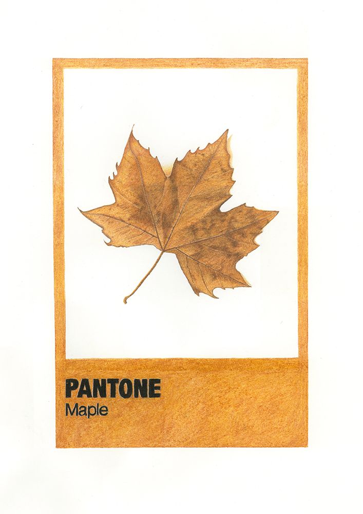 Mapple art print by Akin Durodola for $57.95 CAD