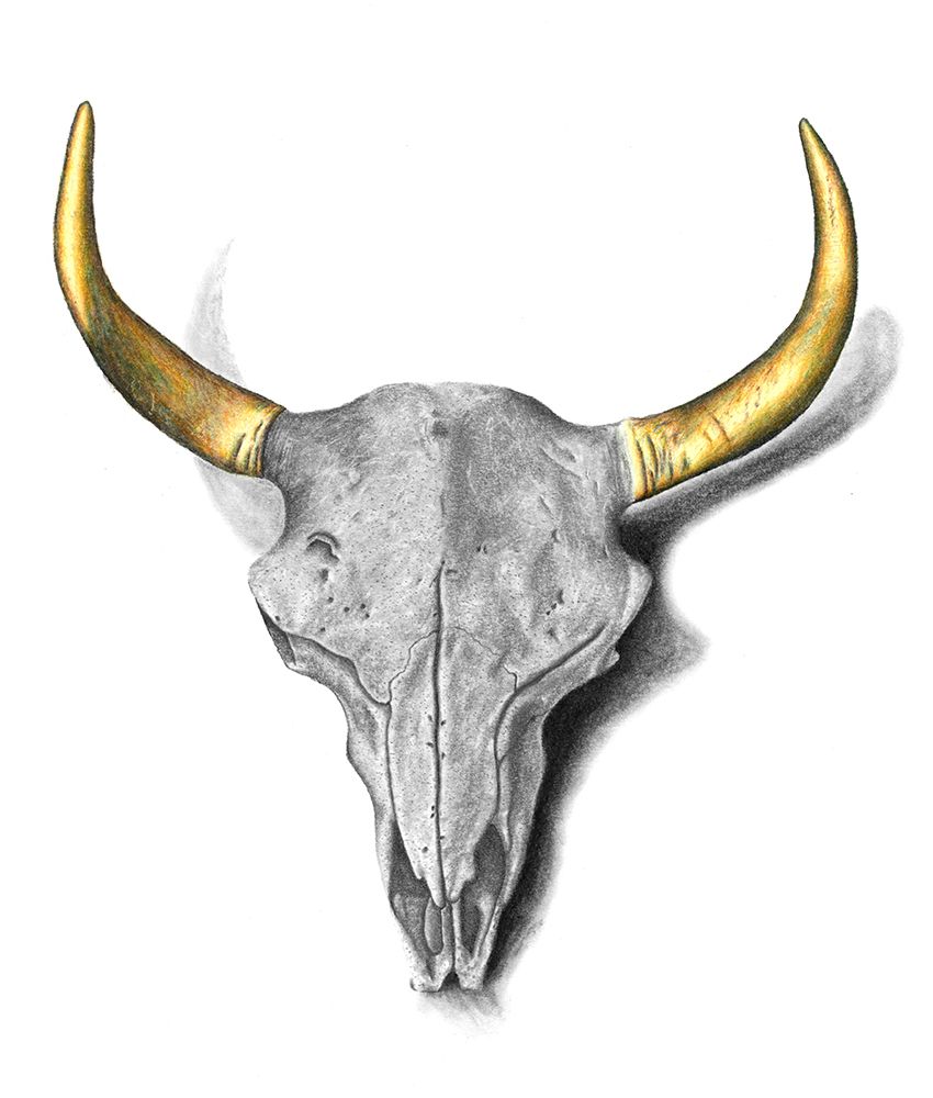 Skull art print by Akin Durodola for $57.95 CAD