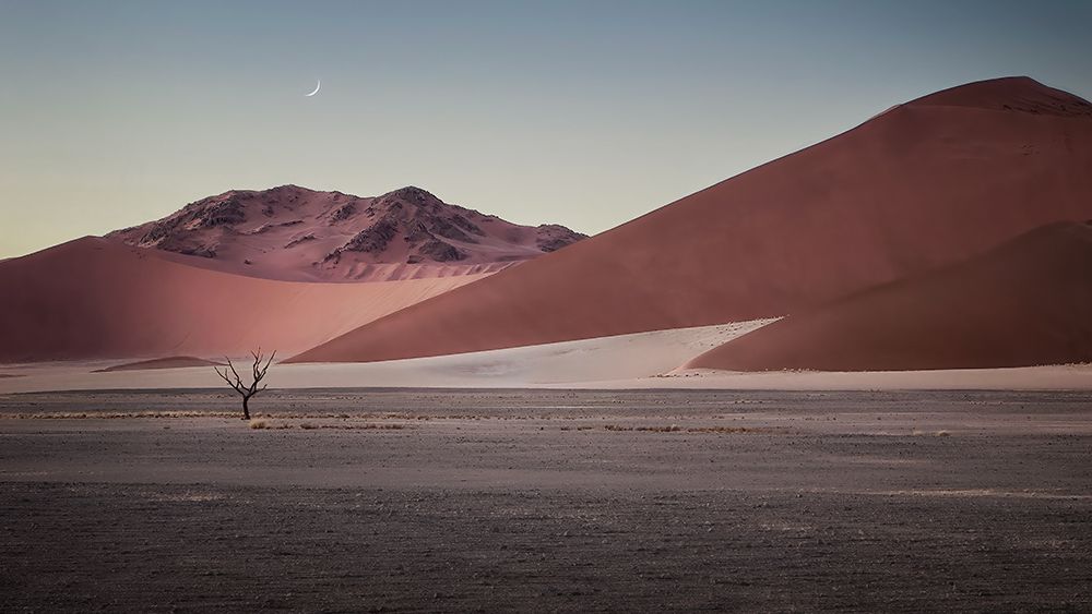 Sand Dune In Namibia art print by Gu And Hongchao for $57.95 CAD