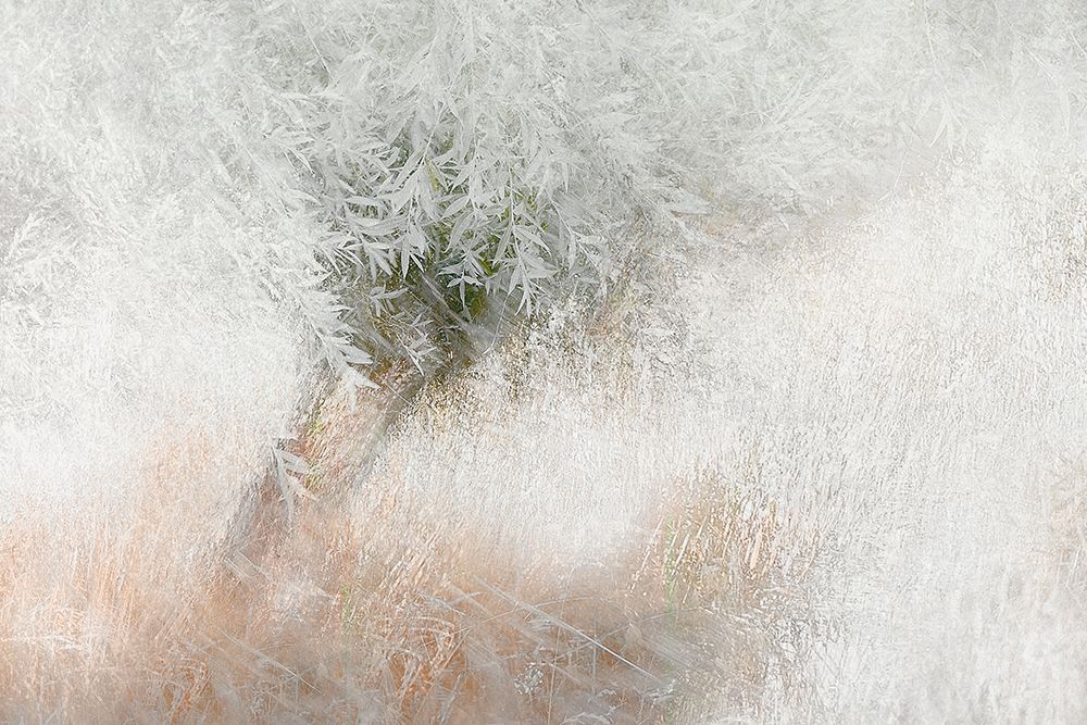 Soft And Gentle art print by Nel Talen for $57.95 CAD