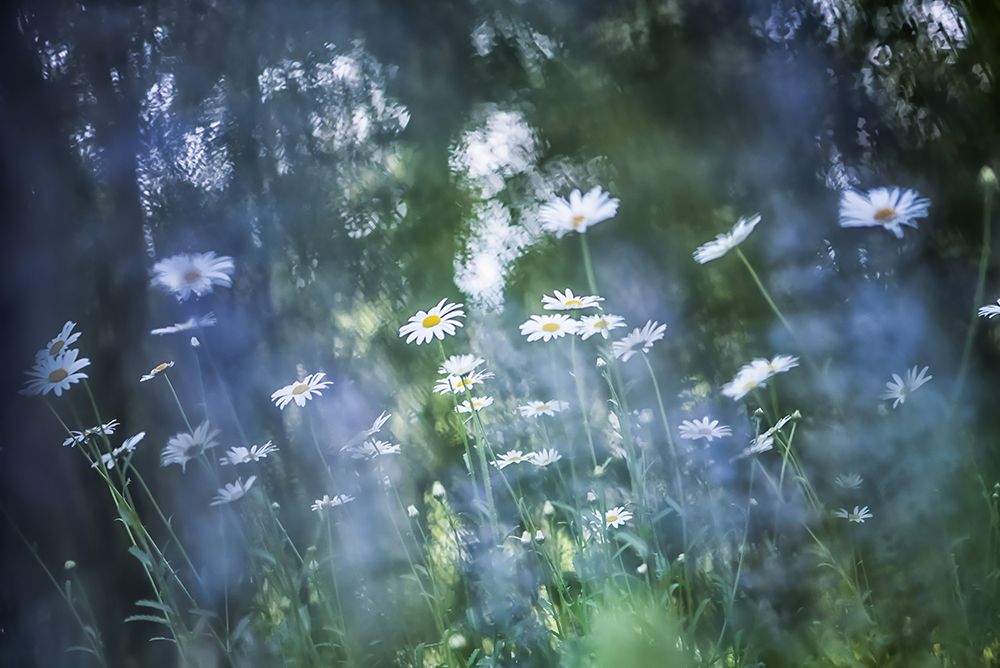 A Breath Of Blue art print by Maryse Dardaillon for $57.95 CAD