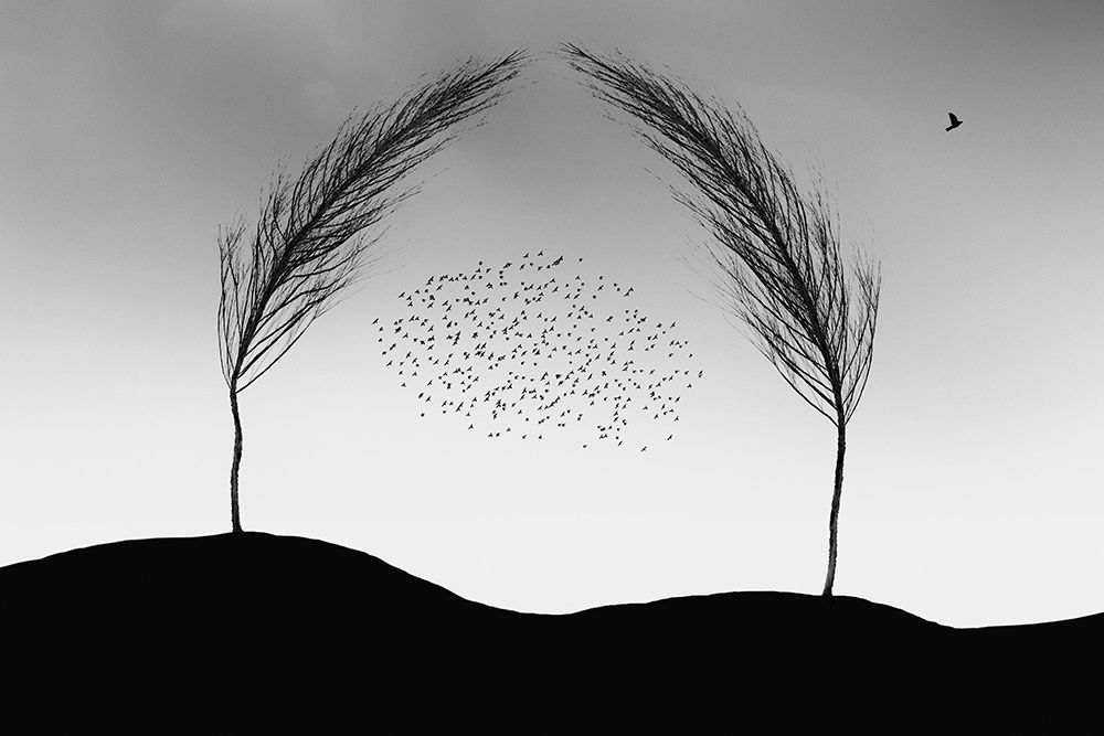 A New Beginning art print by Marchevca Bogdan for $57.95 CAD