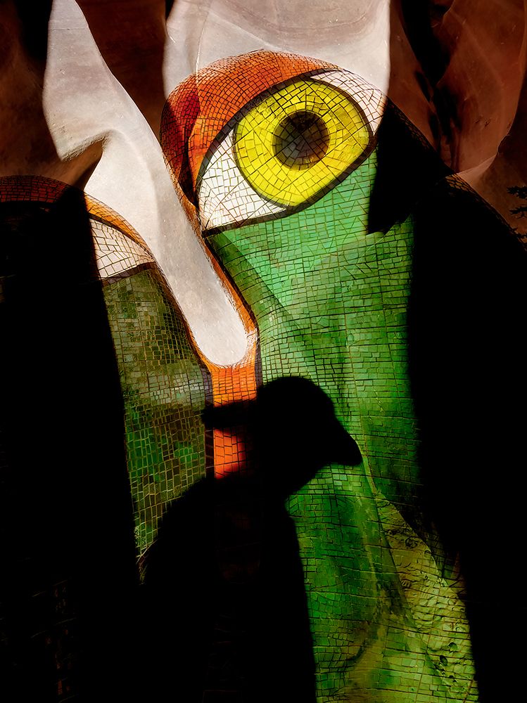 The Watching Eye art print by Shenshen Dou for $57.95 CAD