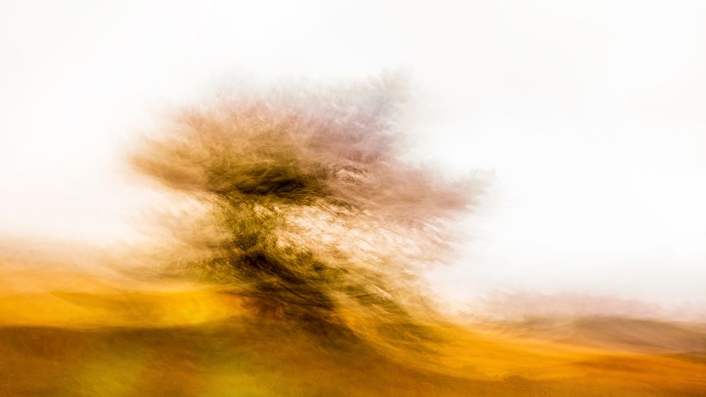 The Dancing Tree art print by Ina Bouhuijzen for $57.95 CAD