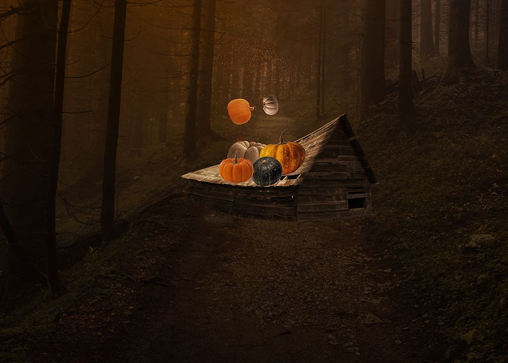 Pumpkin Falls art print by Salome Zhividze for $57.95 CAD