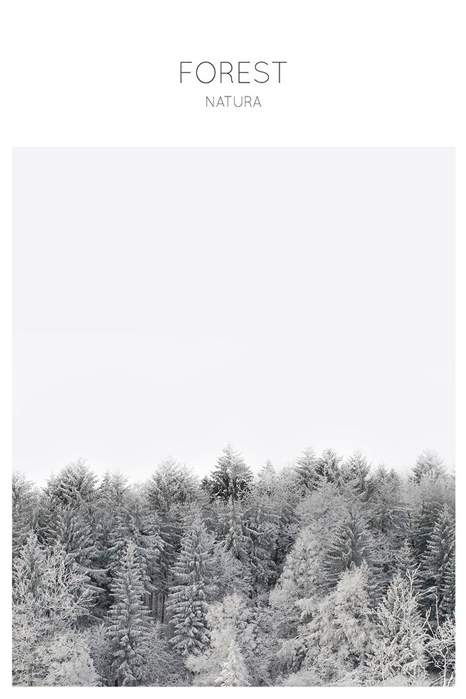 Forest Photography art print by The Miuus Studio for $57.95 CAD