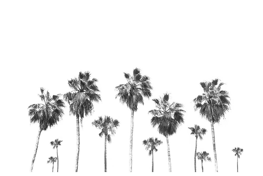 Landscape Of Palms art print by The Miuus Studio for $57.95 CAD