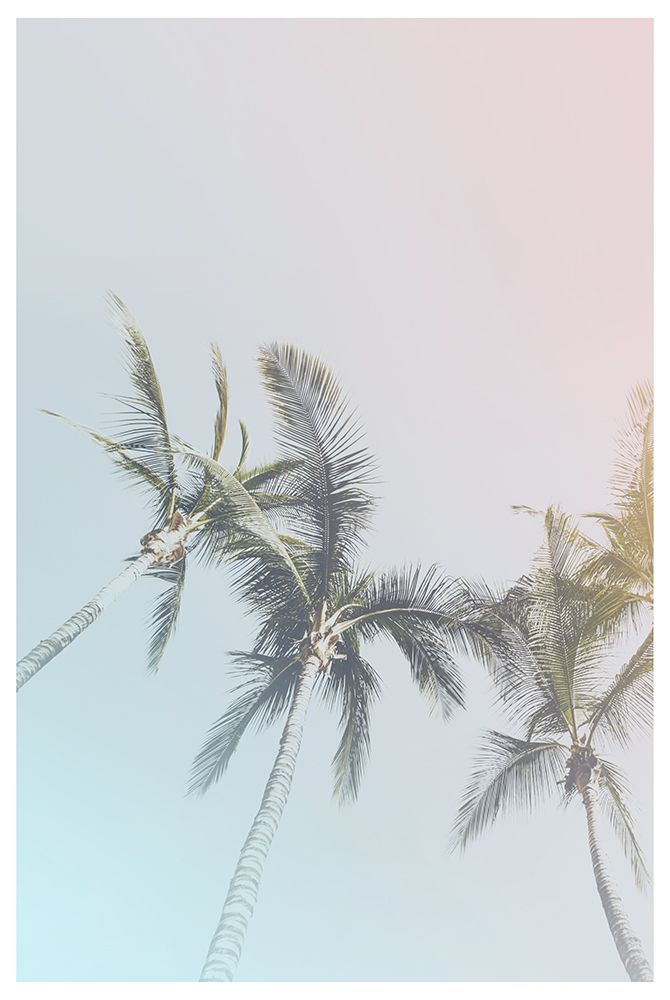 Pastel Palms art print by The Miuus Studio for $57.95 CAD