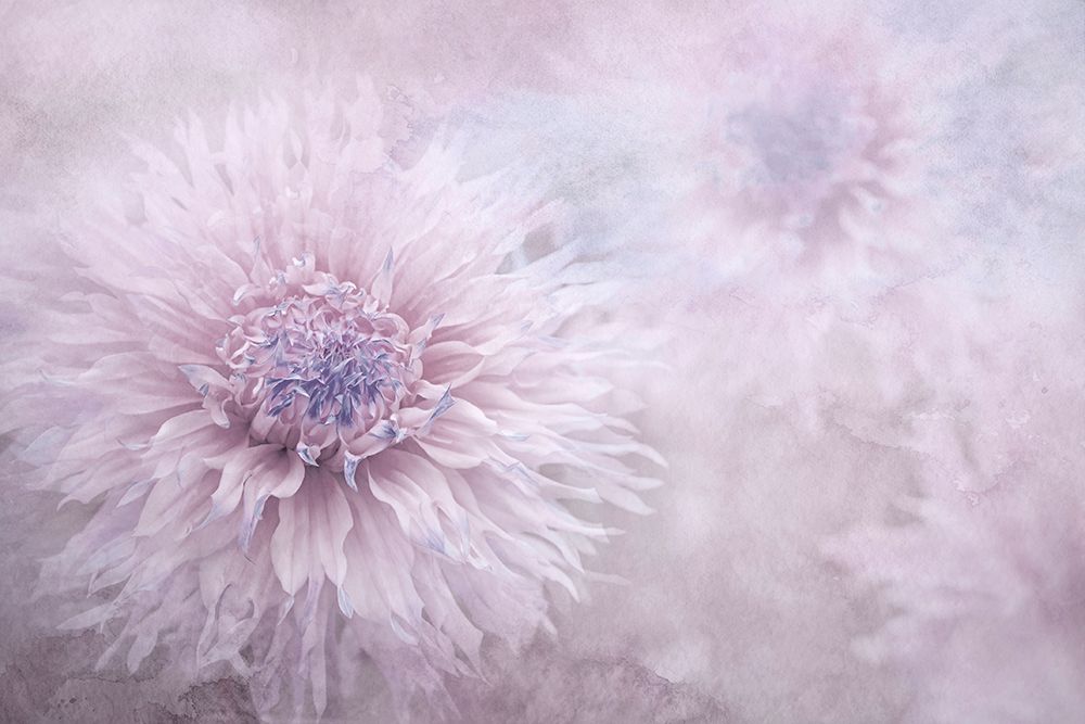 Dusk art print by Jacky Parker for $57.95 CAD