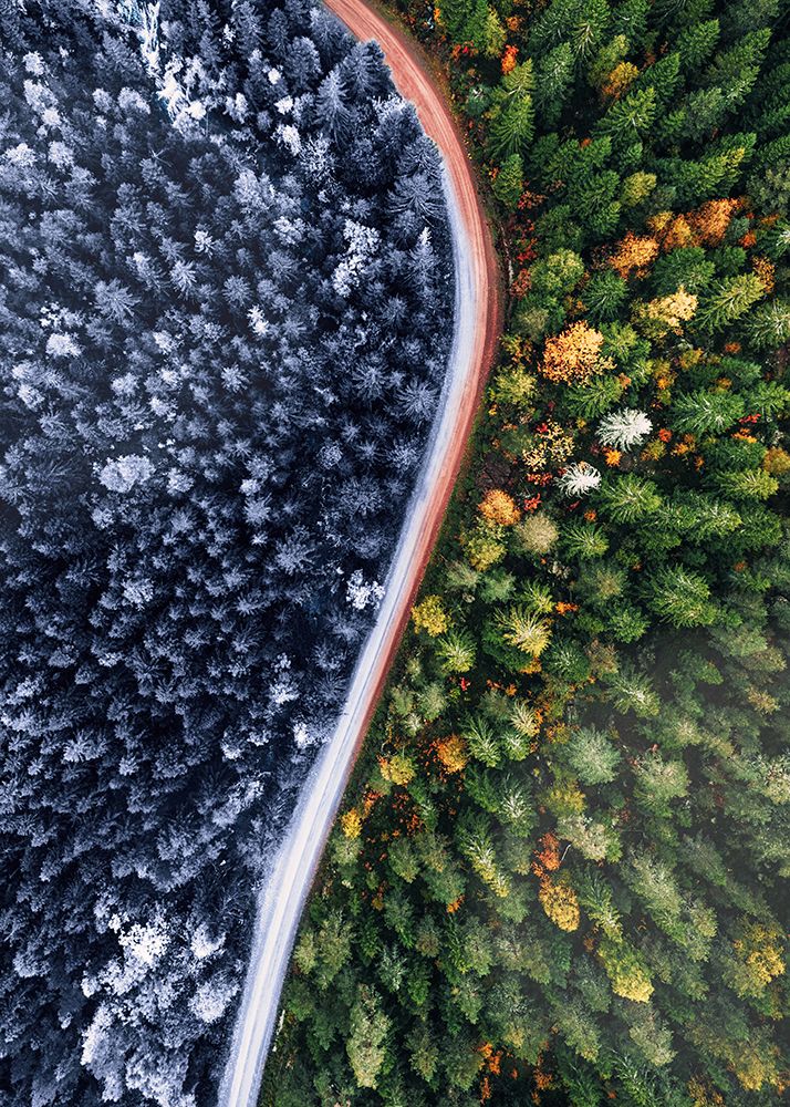 Forest Seasons Change art print by Al Barizi for $57.95 CAD