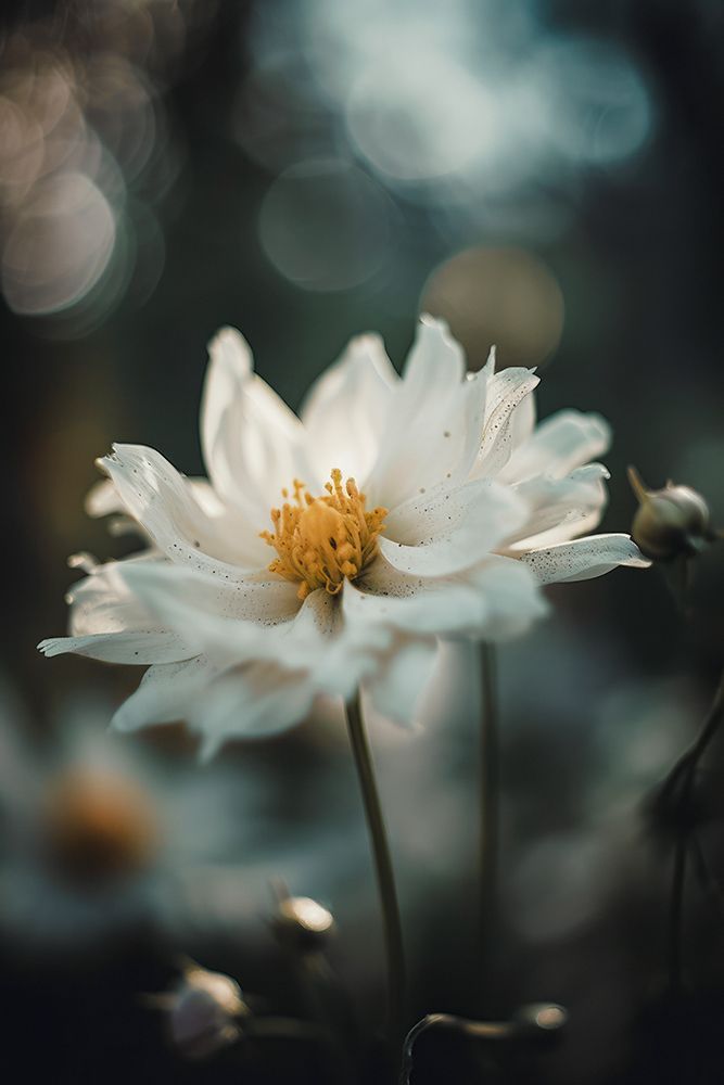 Subtle Beauty art print by Treechild for $57.95 CAD