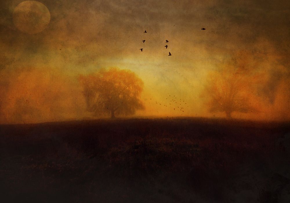 Autumn Thoughts... art print by Robert Fabrowski for $57.95 CAD