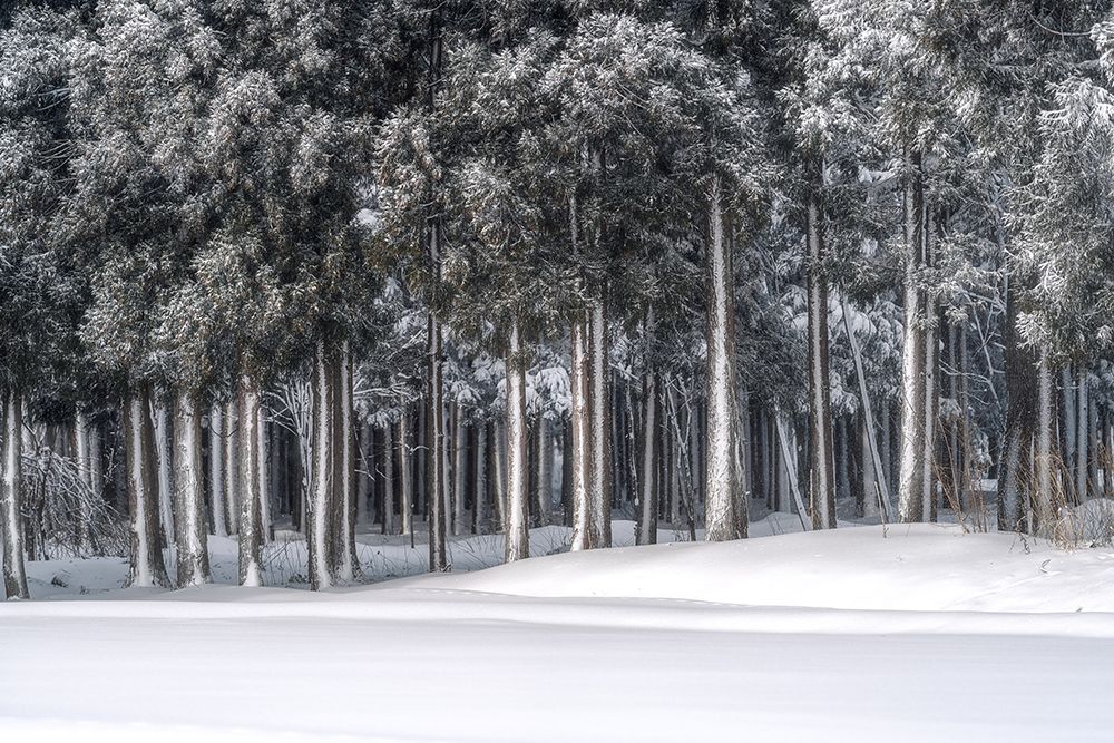 A Place In A Silver World art print by Ik for $57.95 CAD