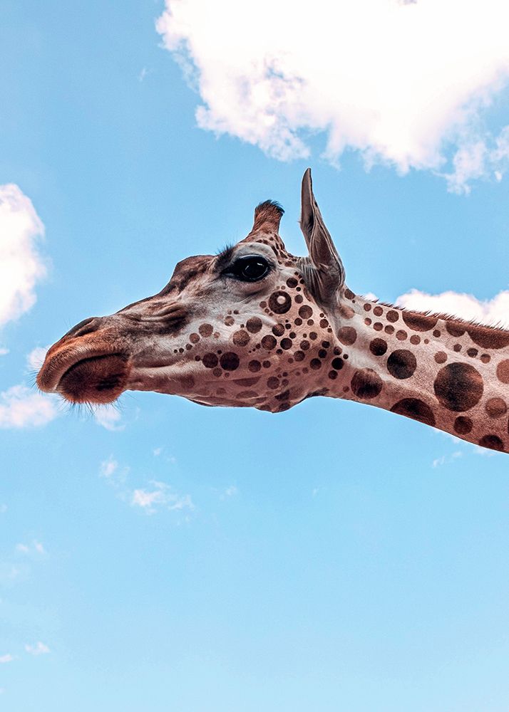 Polkadots Giraffe Head art print by Al Barizi for $57.95 CAD