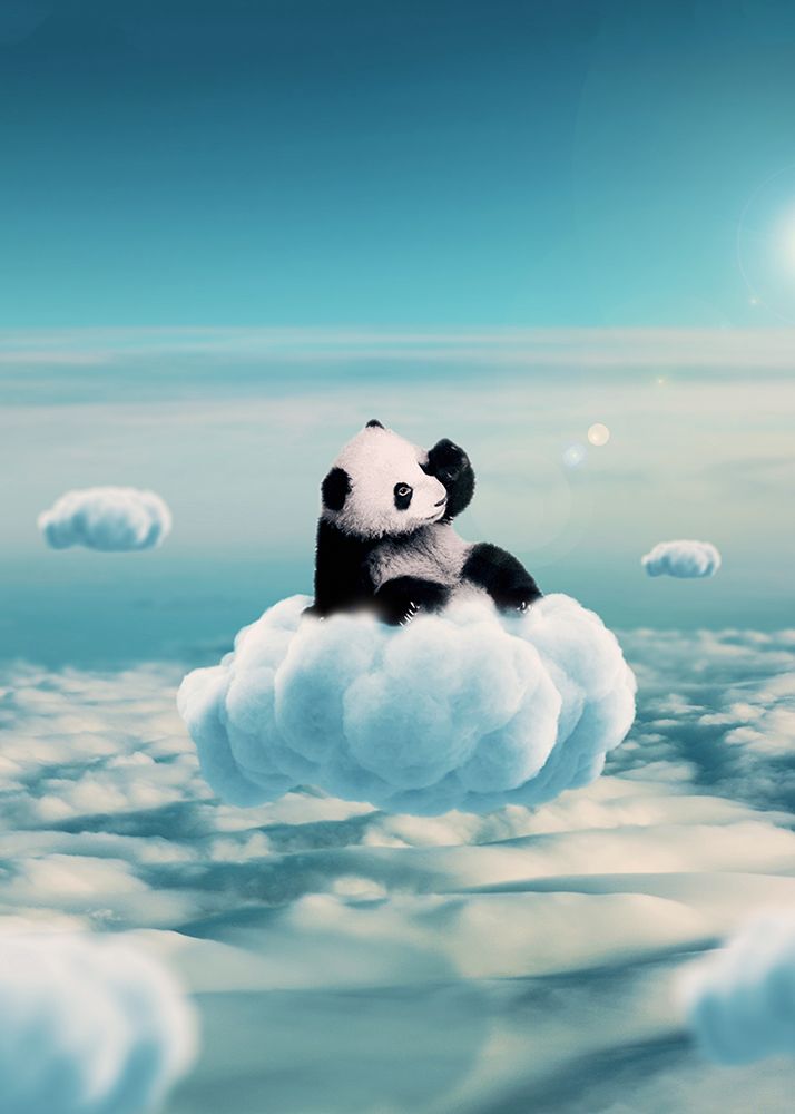 Flying Clouds With Baby Panda art print by Al Barizi for $57.95 CAD