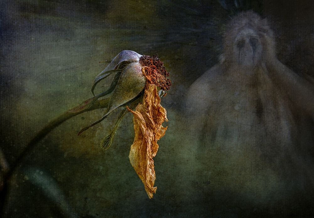 Elegy art print by Hans Gunther for $57.95 CAD